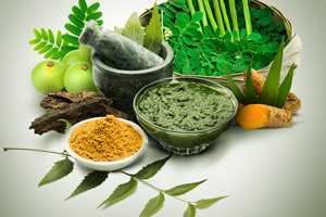 Single Herbs Range